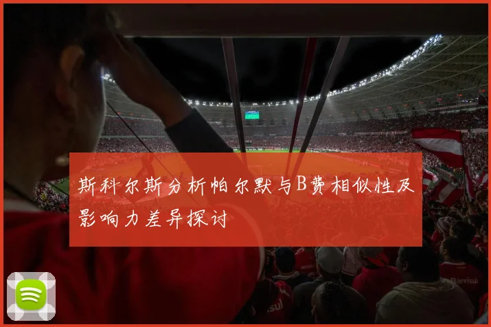 斯科尔斯分析帕尔默与B费相似性及影响力差异探讨